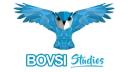 Bovsi Studios logo